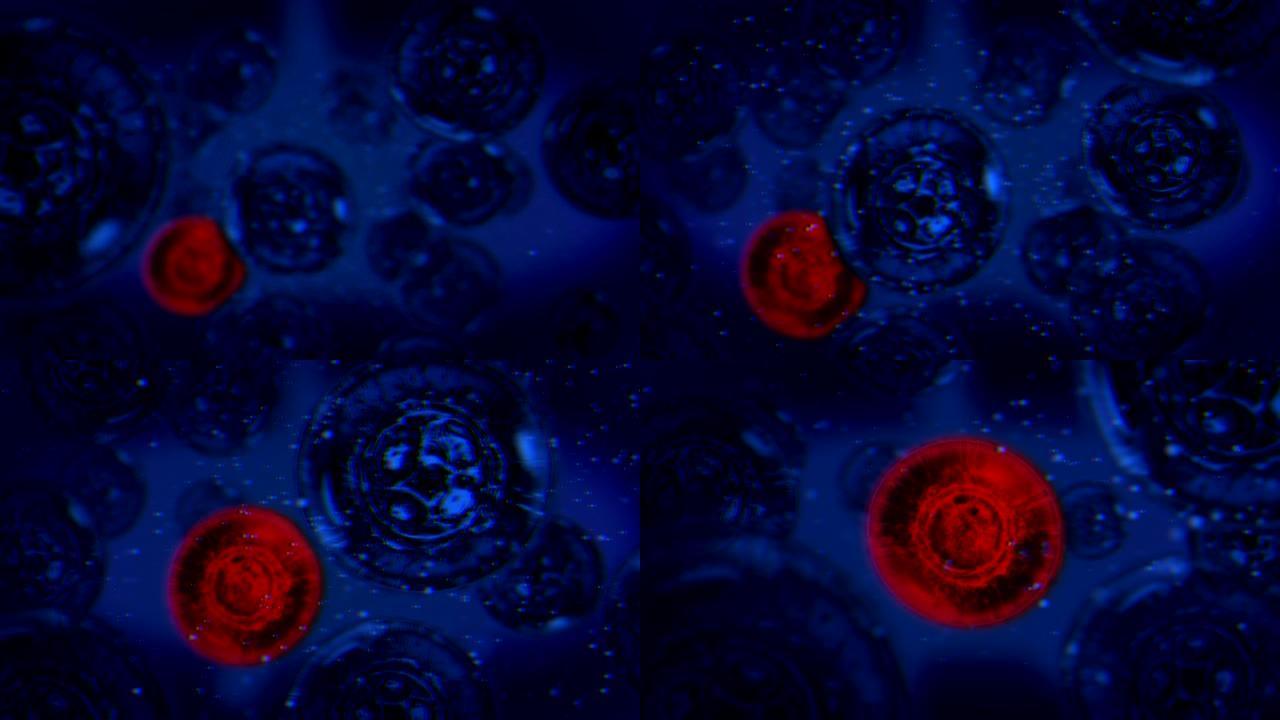 人细胞间的病毒细胞模型