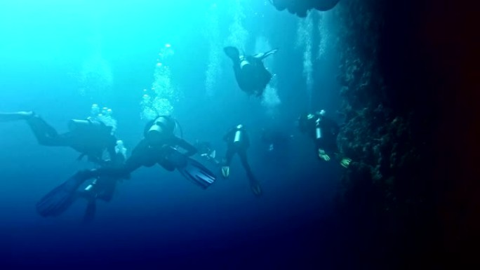 水下生命。在宁静的海洋中潜水