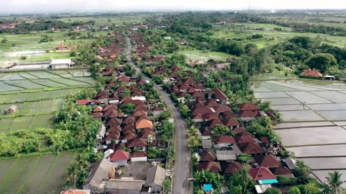覆盖着水和城镇的稻田的鸟瞰图。巴厘岛