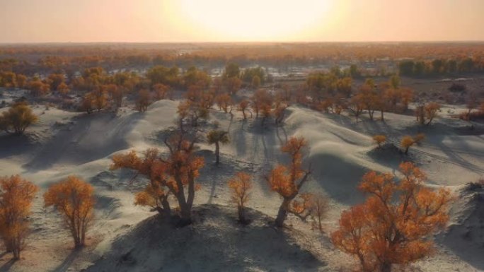 新疆鸟瞰图广袤无垠一望无际沙漠沙滩