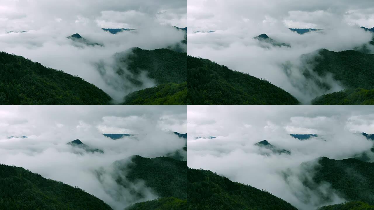 鸟瞰山山和森林与云