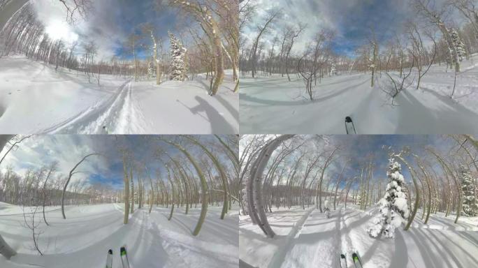 POV: 在阳光明媚的冬日，滑雪穿过犹他州帕克城的白雪皑皑的森林。