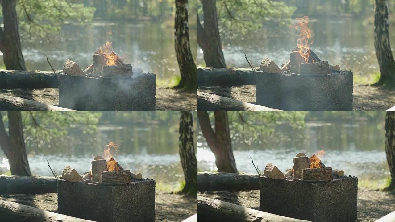 瑞典森林中的篝火瑞典森林中的篝火