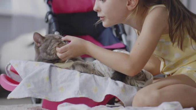 女孩护理猫女孩护理猫小猫外国人小孩