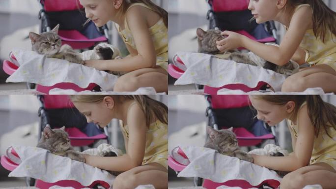 女孩护理猫女孩护理猫小猫外国人小孩