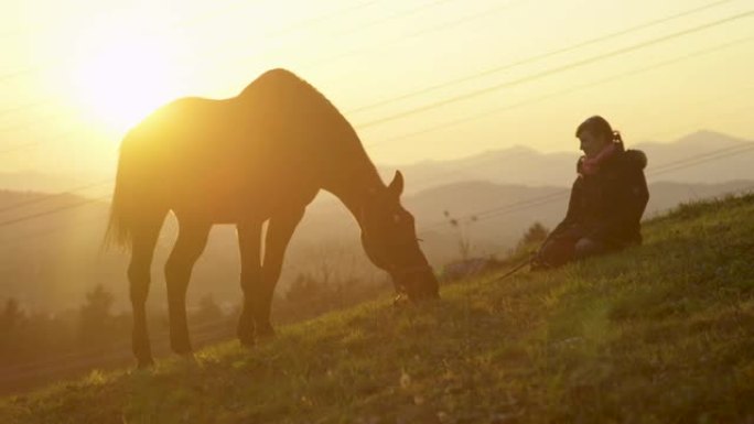 慢动作: 靠近年轻女子的大种马放牧的美丽镜头。