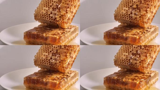 蜂蜜和蜂蜜梳子蜂胶蜂巢食物