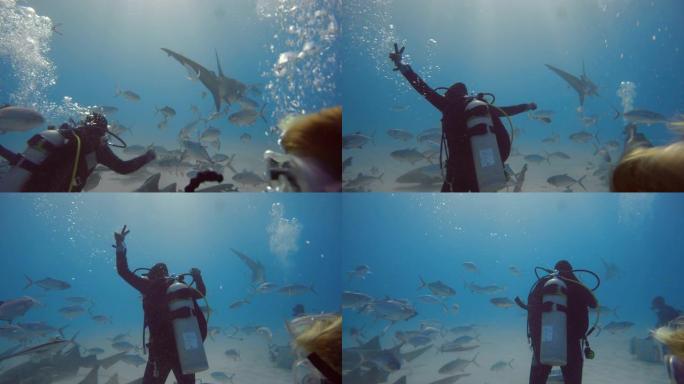 水下拍摄，是在鲨鱼中间拍照和录像的专业潜水员的水下拍摄。