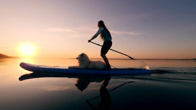 日落水域，一个年轻女子和她的狗一起吃晚饭