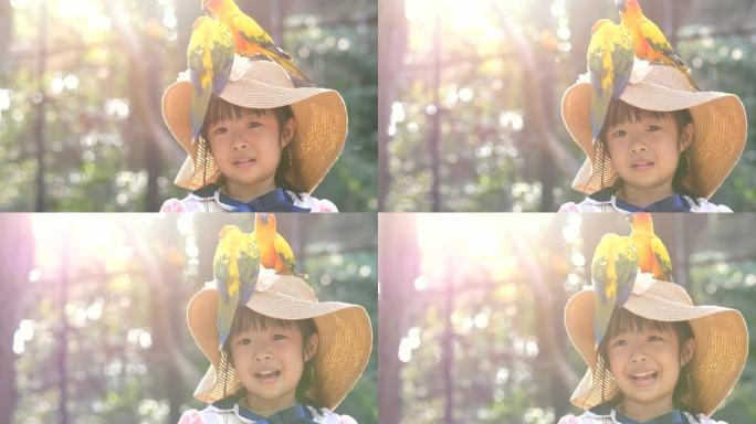 年轻女孩喜欢大自然中的鸟