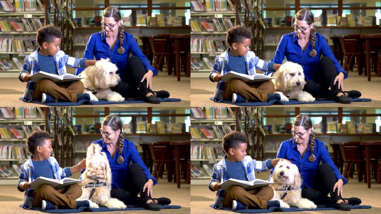 混合种族男孩在图书馆与治疗犬一起阅读