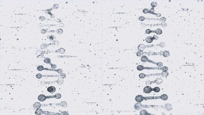 DNA显示虚拟数字化数据流