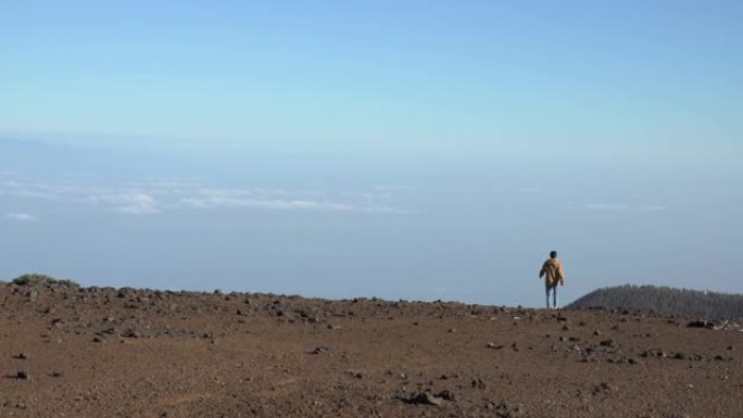 欣赏特内里费岛动荡景观的女人。泰德火山