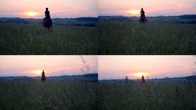 女骑士疾驰穿过田野，后视图。