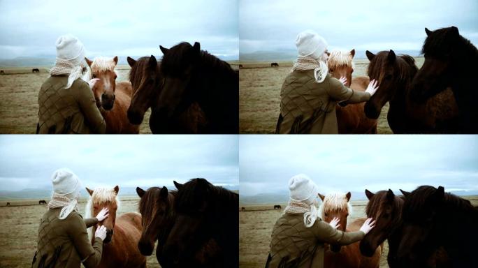 年轻时尚的金发女人抚摸着三匹美丽的冰岛马。游客与动物一起享受大自然的时光。