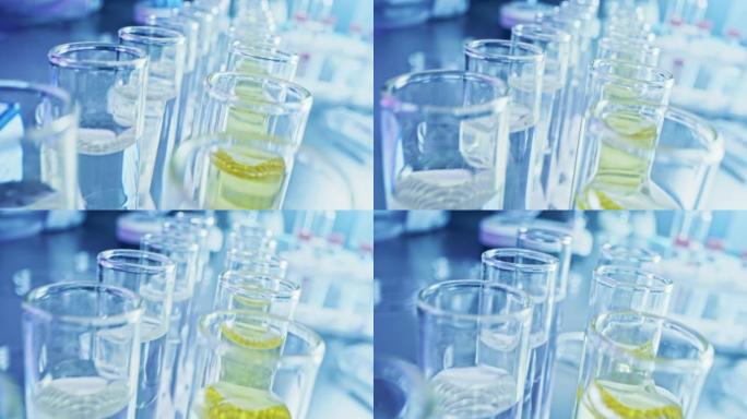 药剂学实验室: 一排排装有实验药物的试管，用于医学研究和分析。用样品管填充DNA研究流体溶液的产品线