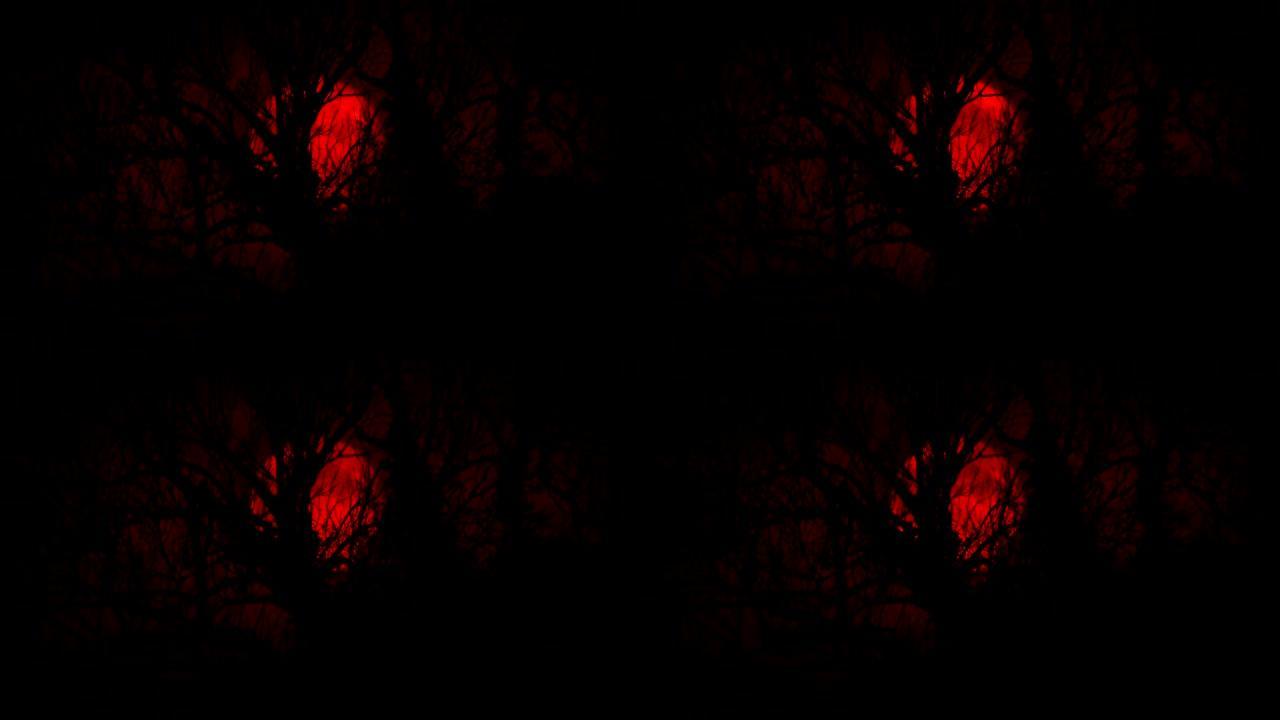 树林里粗糙的树木后面的红色大月亮