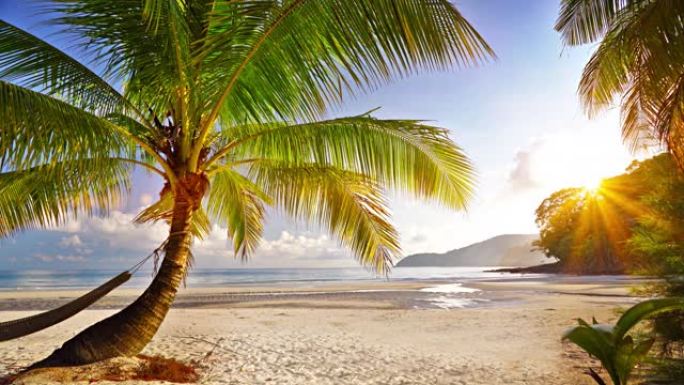 棕榈树。热带海滩。沙。日出。