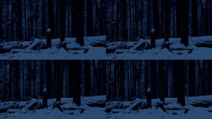 在黑暗中走过白雪皑皑的森林