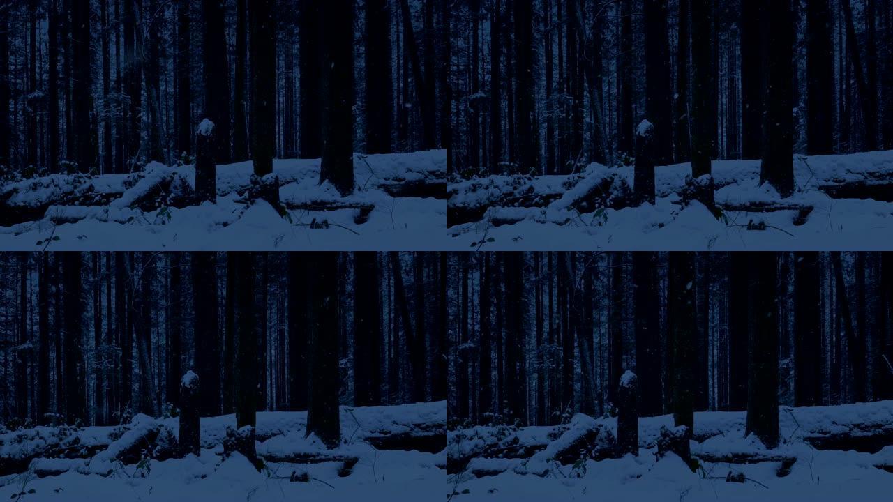 在黑暗中走过白雪皑皑的森林