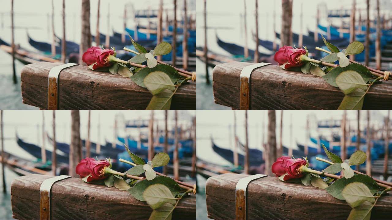 特写镜头，美丽的单红玫瑰躺在威尼斯木制运河码头上，背景是传统的吊船。