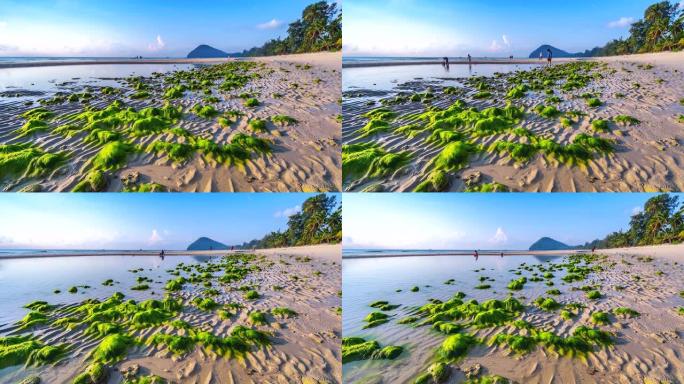 4K，泰国楚姆蓬的大海和海藻和日出的延时视图，带有戏剧性的云景
