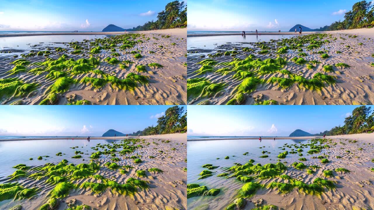 4K，泰国楚姆蓬的大海和海藻和日出的延时视图，带有戏剧性的云景