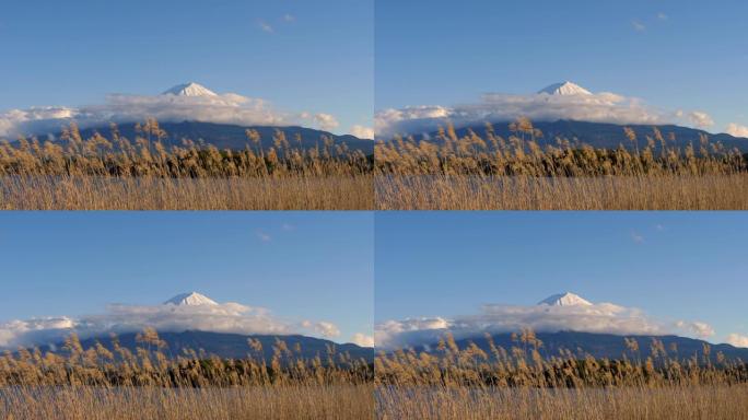 富士山大石公园景观