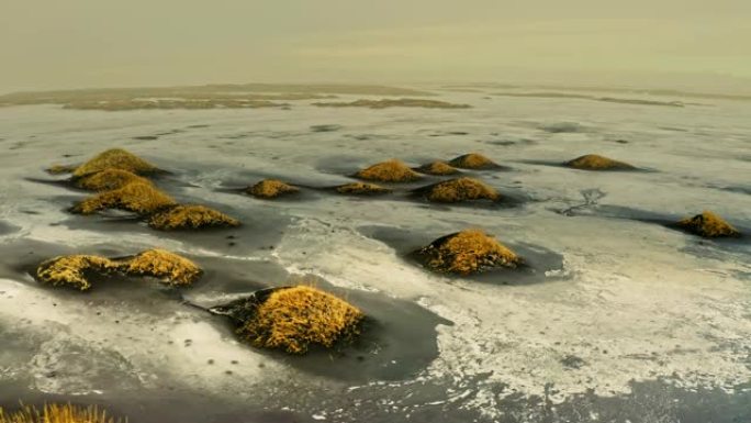 冬季在冰冻的斯托克斯湾平移沙丘的视频