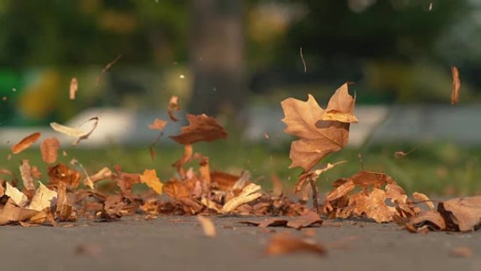 慢动作棕色和橙色的叶子在空中飞翔，因为未知的溜冰者沿着道路行驶