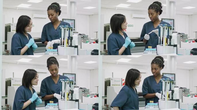 年轻的病理妇女显示同事在实验室组织血液样本