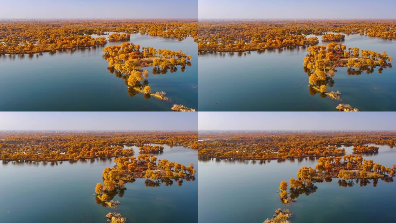 新疆鸟瞰图特写空镜植被覆盖