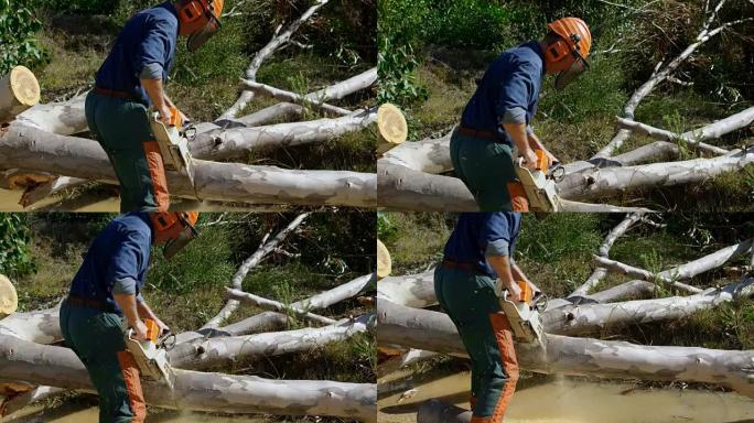 伐木工人在森林中砍伐倒下的树4k