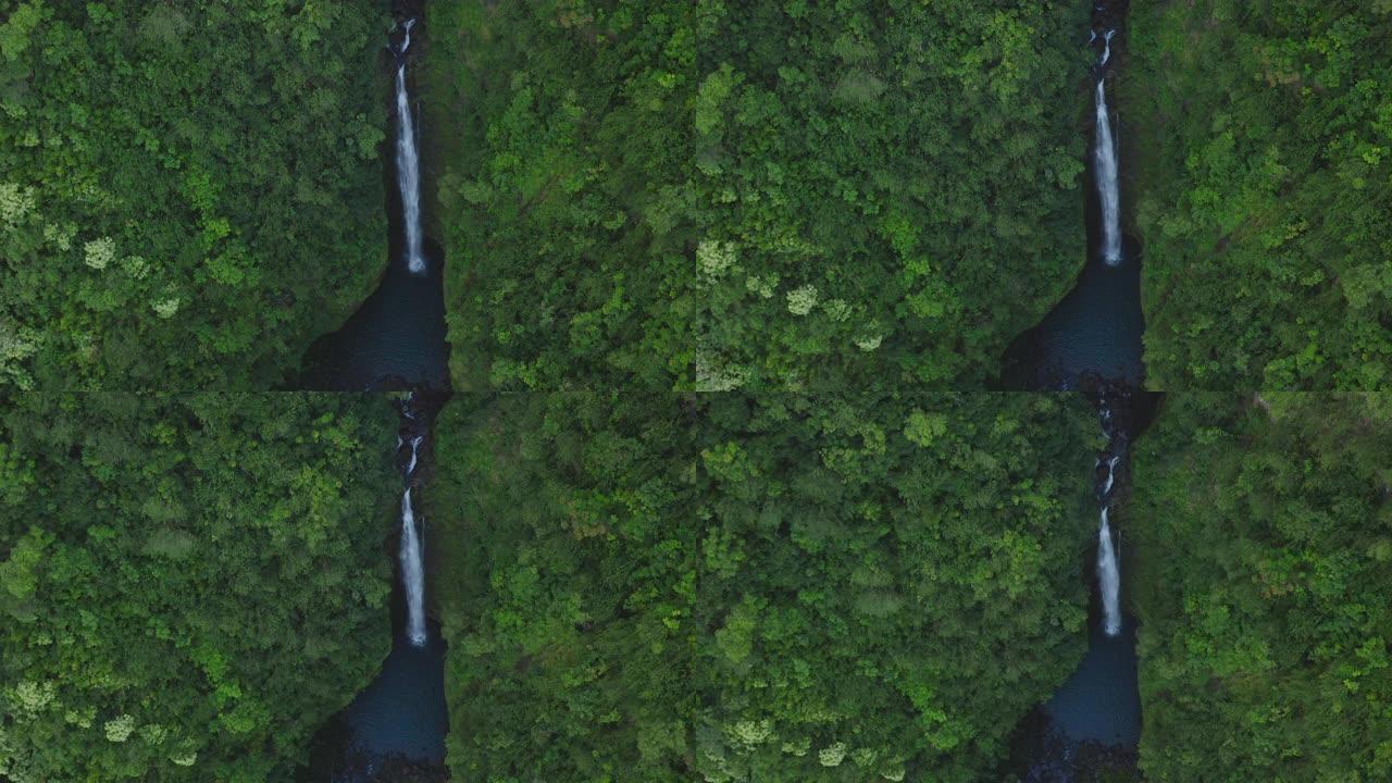 丛林中的两个惊人的瀑布