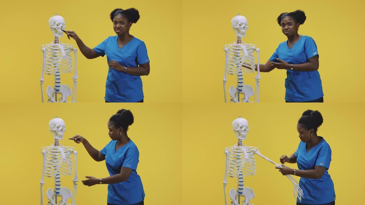 医生用骨骼解释解剖
