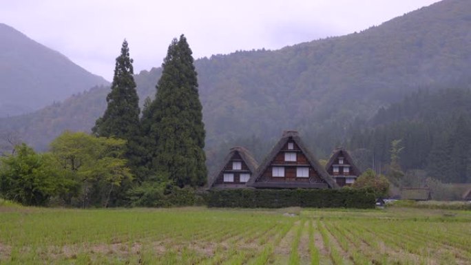 日本岐阜白川村。Shirakawa-go是联合国教科文组织世界遗产和国家地标