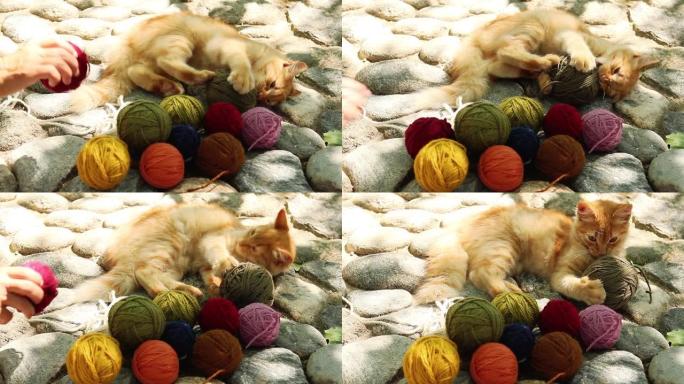 猫玩毛线球。猫玩线团毛线编织毛线