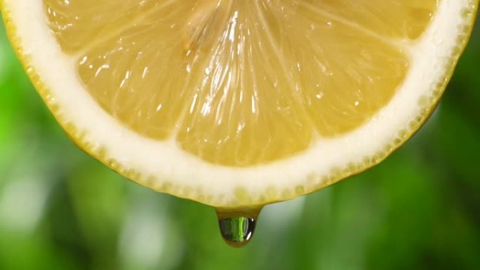 慢动作: 从模糊叶子上的柠檬片中滴了一滴液体