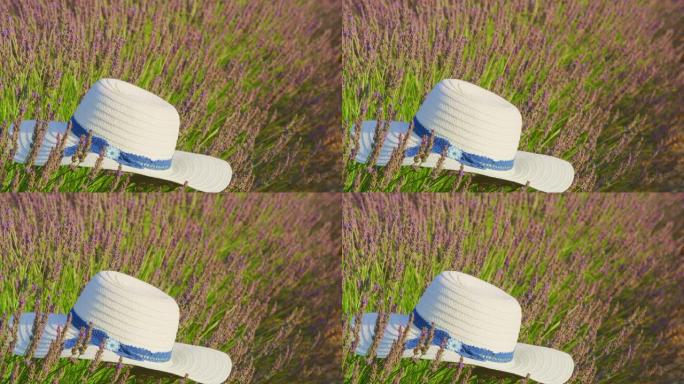 LS白色太阳帽在薰衣草田