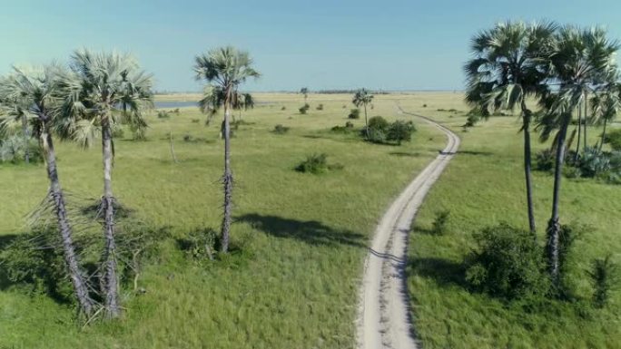 4K空中飞行的正面视图的狩猎车辆和游客驾驶通过Makgadikgadi草原，博茨瓦纳