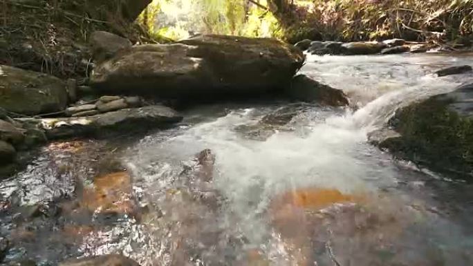 山河流动。森林海氧吧瀑布溪流水