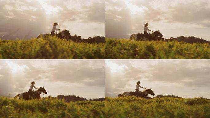 牛仔女郎骑马骑马女郎美女草原