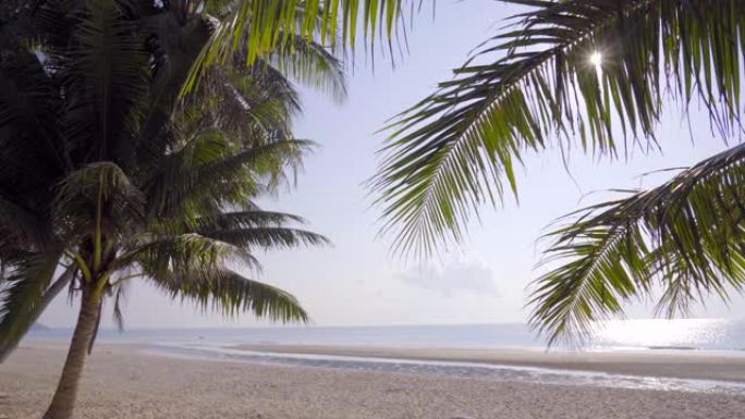 泰国南部钦蓬省椰树美丽的海景