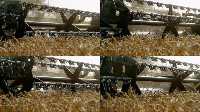 SLO MO联合收割机收割小麦