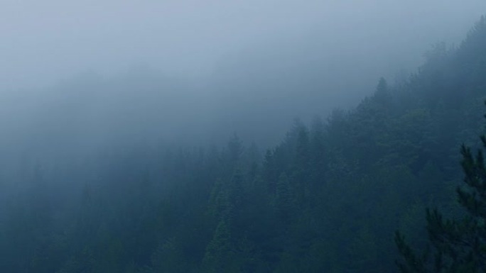 雾森林在晚上雾天航拍巫山云雨云雾缭绕