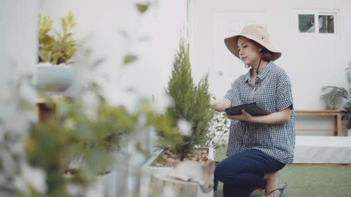 亚洲妇女在花园里种植前检查作物。