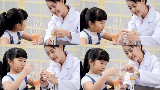 可爱的年轻女孩触摸骨骼，同时试图与老师检查它是否真实。教育主题。亚洲概念。
