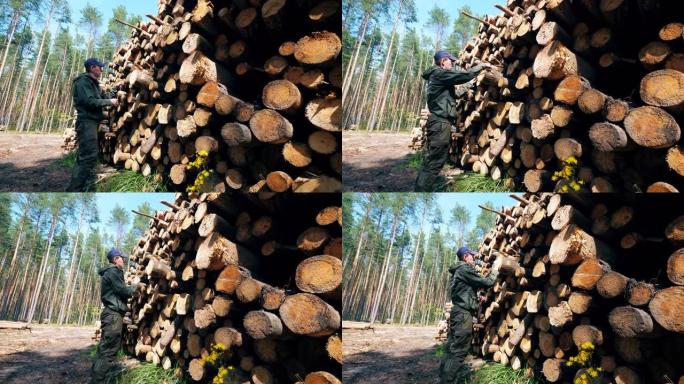 一名男性工人正在评估砍伐的木材