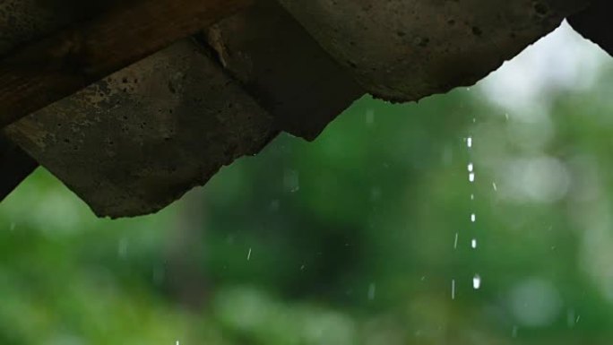 雨落在屋顶上雨落在屋顶上