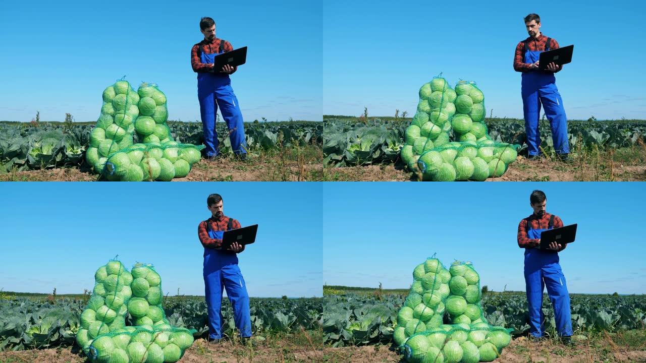 农业技术人员正站在笔记本电脑旁，里面装有白菜